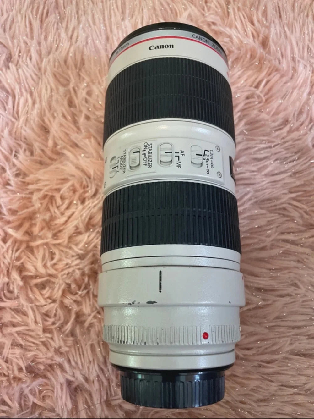 Canon professional telephoto